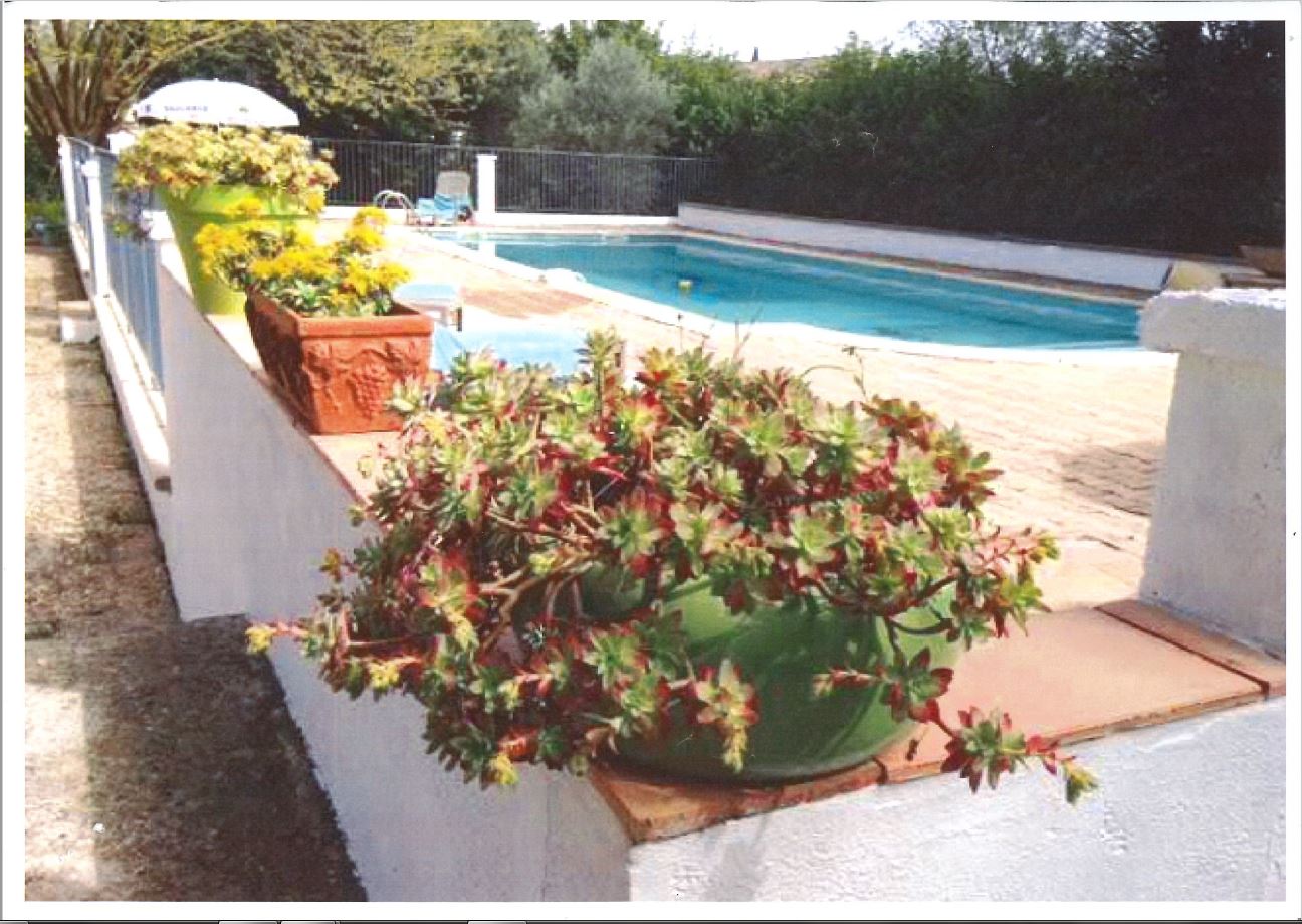 La Cigalou