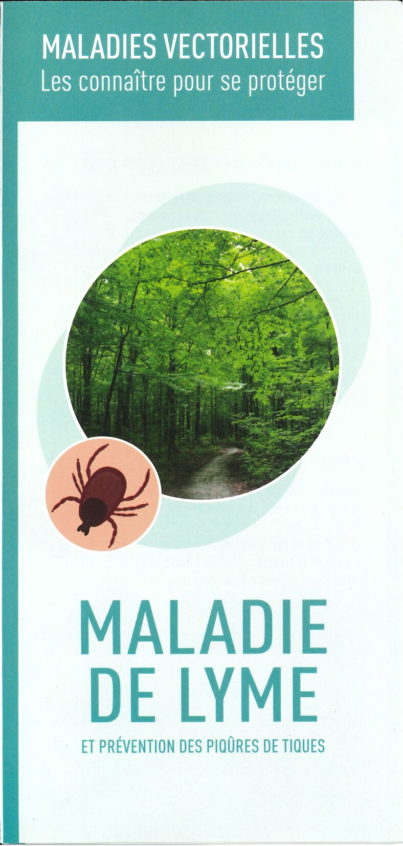 maladie de lyme