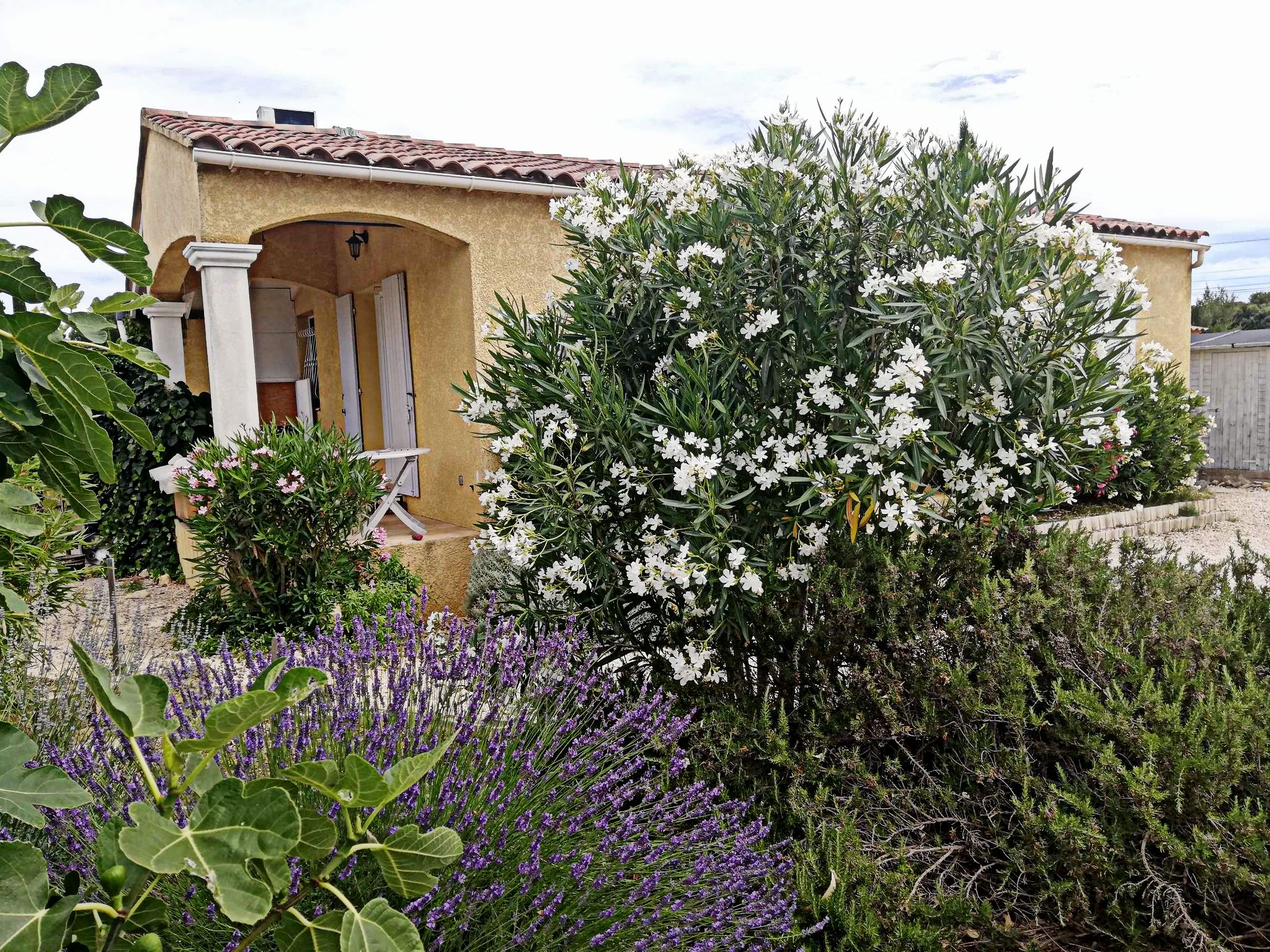 JARDIN ET TERRASSE
